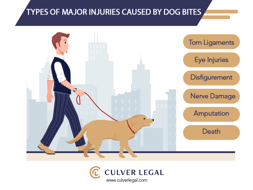 Personal injury law office serving San Francisco dog bite victims